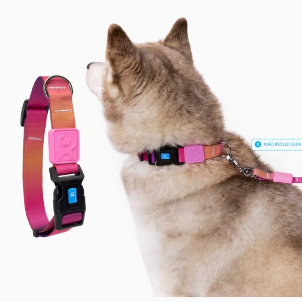 Coleira para Cachorro Estampada G Animal Zen