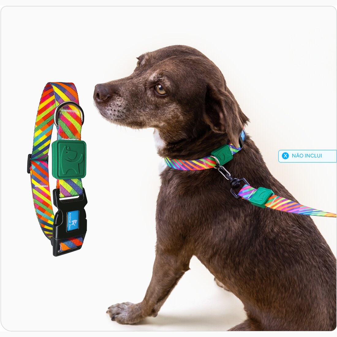 Coleira para Cachorro Estampada M