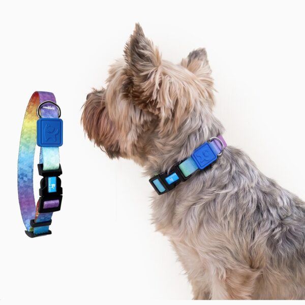 Coleira para Cachorro Estampada P Animal Zen