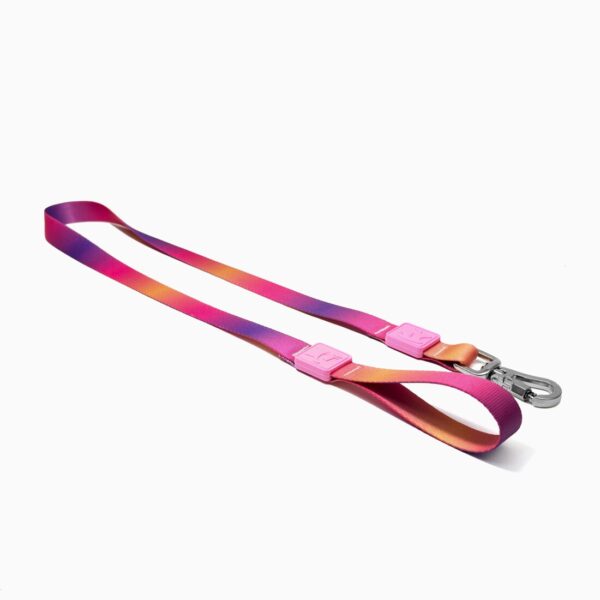 Guia para Cachorro · Fita 2,5 cm Animal Zen