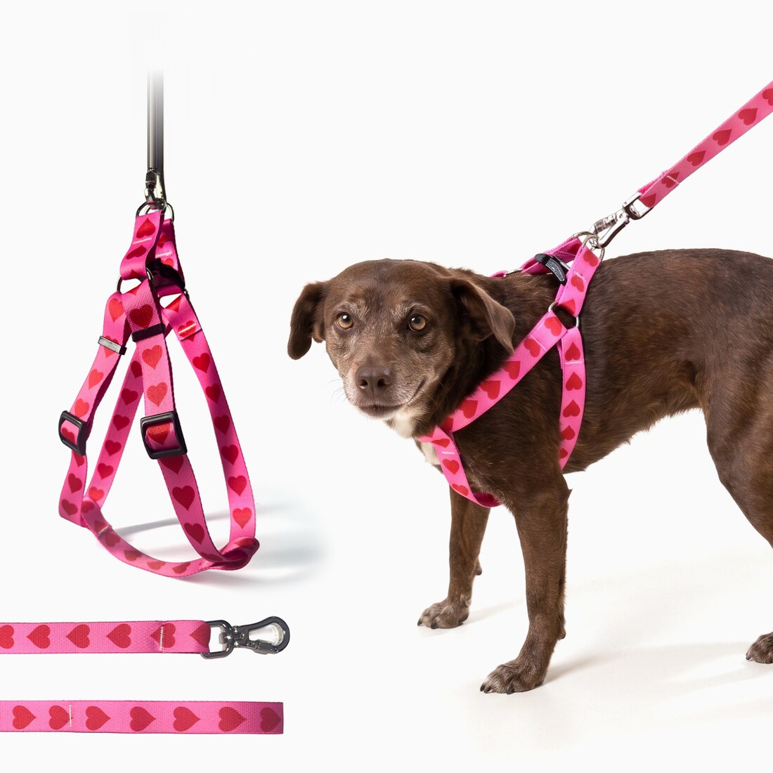 Peitoral para Cachorro Americano com Guia · Fita 2,5 cm