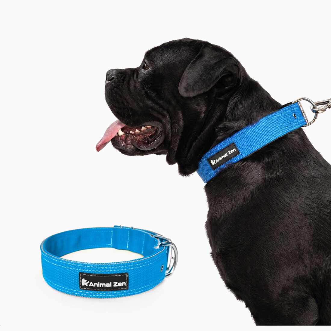Coleira para Cachorro Grande · Fita 4,0 cm