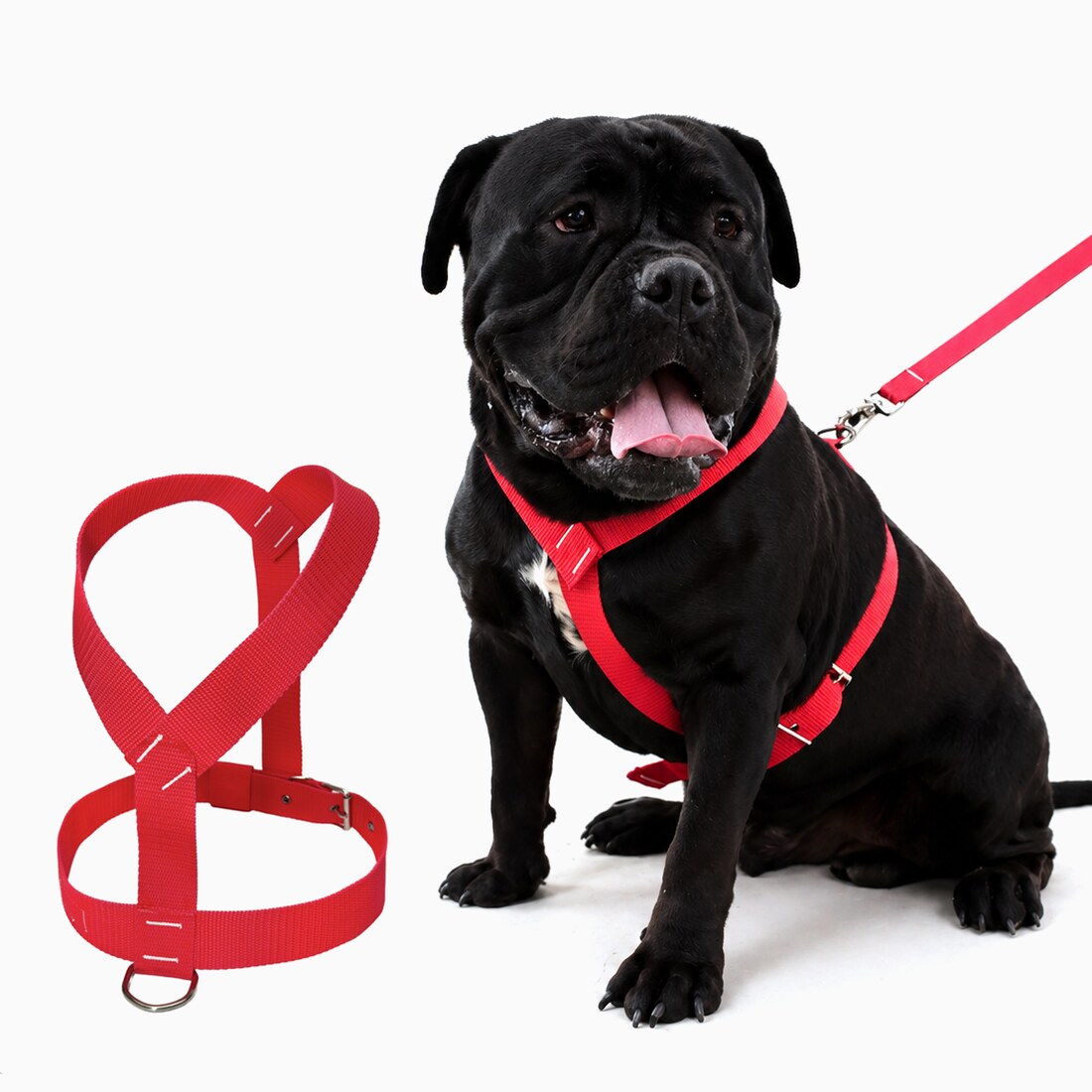 Peitoral para Cachorro Reforçado com Guia · Fita 4,0 cm