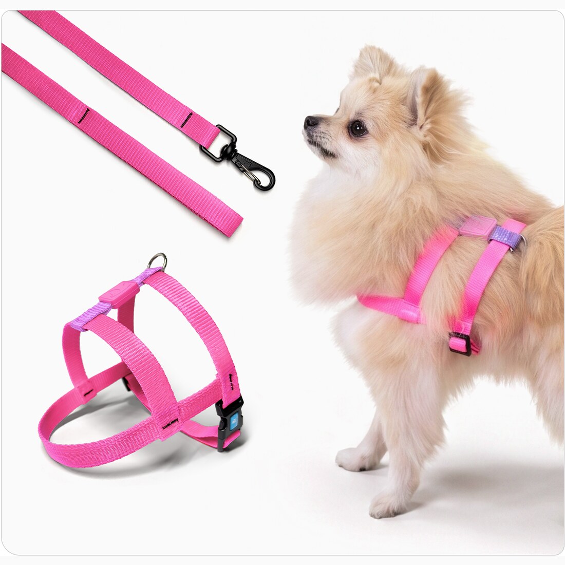 Peitoral para Cachorro Bicolor com Guia · Fita 1,5 cm