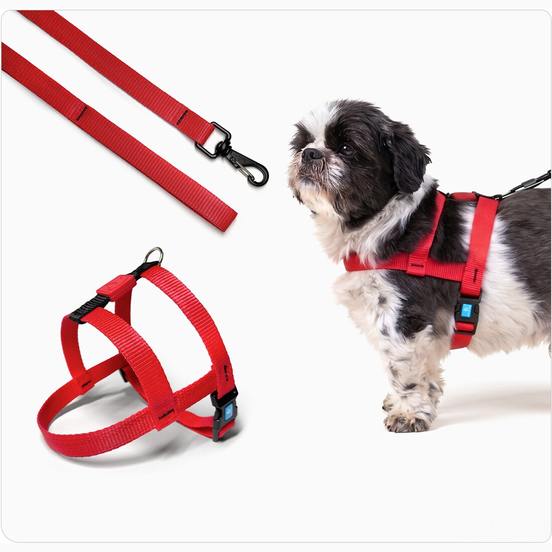 Peitoral para Cachorro Bicolor com Guia · Fita 2,0 cm