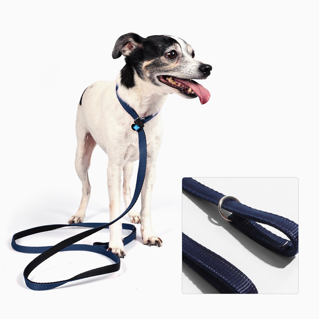 Guia Unificada para Cachorro · 1,5 m