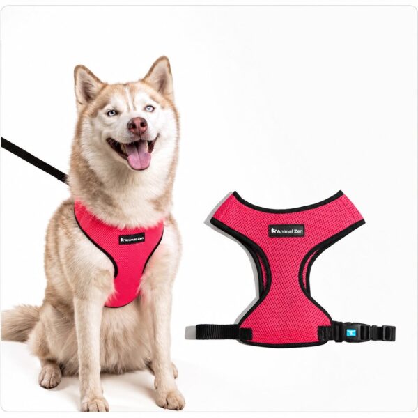 Peitoral para Cachorro Mesh · G Animal Zen