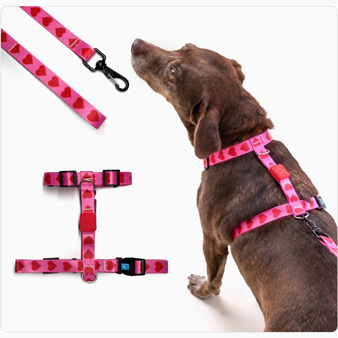 Peitoral para Cachorro H · M