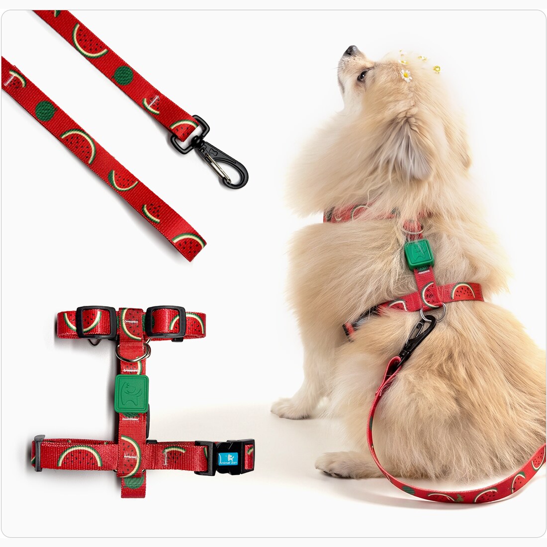 Peitoral para Cachorro H · PP